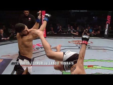 UFC 209: Fight Motion