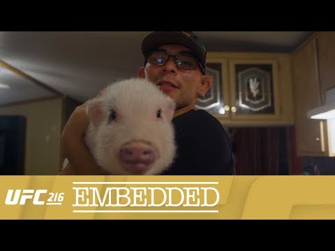 UFC 216 Embedded: Vlog Series – Episode 2