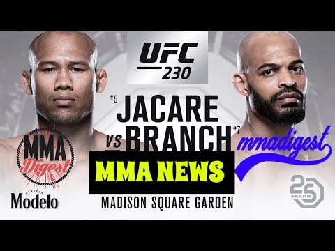 Middleweight Fights for UFC 230 in New York