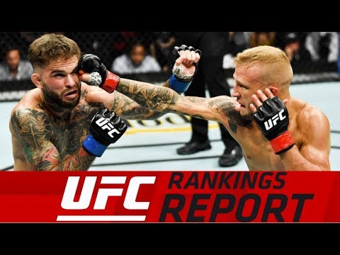 UFC Rankings Report: Dillashaw Dominates Again