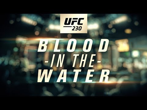 UFC 230: Blood in the Water