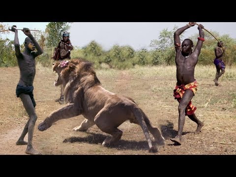 Amazing Wild Animals Attacks – Wild Animal Fights Caught On Camera | Wild Animals Ultimate Fights