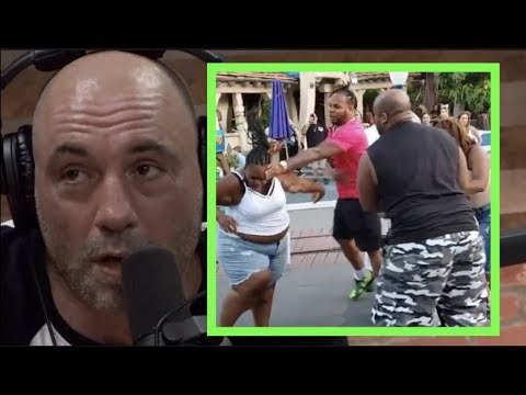 Joe Rogan on the Disneyland Fight Video