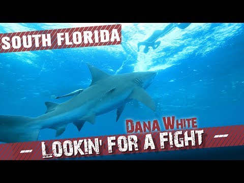 Dana White: Lookin’ for a Fight – Season 4 Ep.2