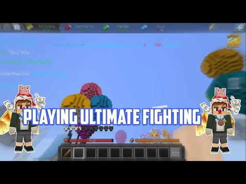 PLAYING ULTIMATE FIGHTING