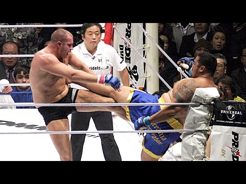 Fedor EMELIANENKO (Russia) vs Mark HUNT (New Zealand) | MMA Fight, HQ