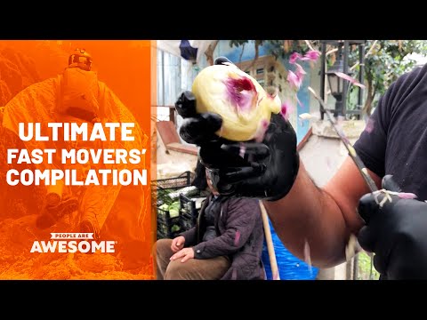 Speediest Workers & Fastest Movers | Ultimate Compilation