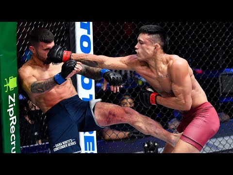 Week 4 Highlights | Dana White’s Contender Series Season 5