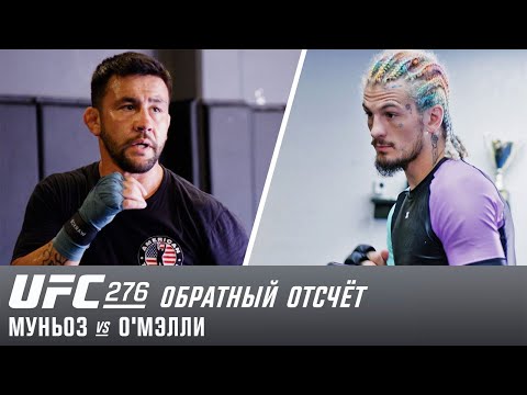 UFC 276: Обратный отсчет – Муньоз vs О'Мэлли