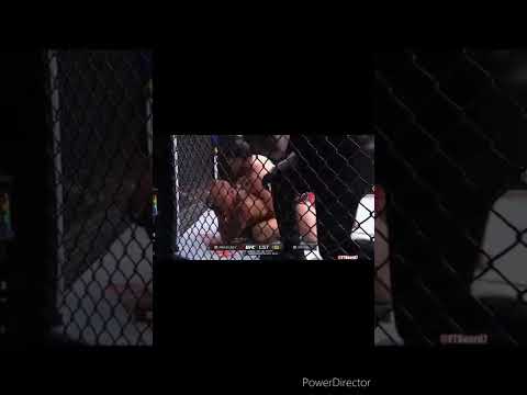 All The Finishes From UFC 277