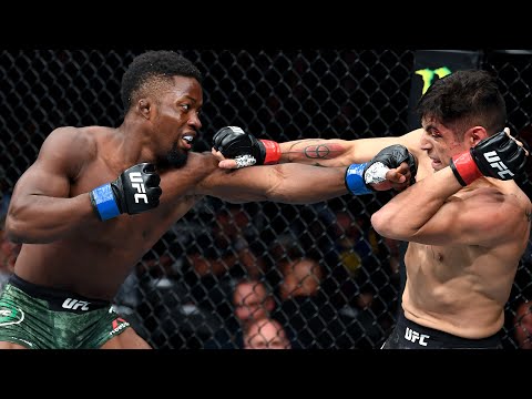 Top Finishes | UFC Vegas 61