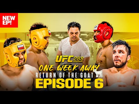 (NEW EP!): Henry Cejudo Simulates Title Fight vs Aljo In Last Sparring Session Before UFC 288 | EP6!