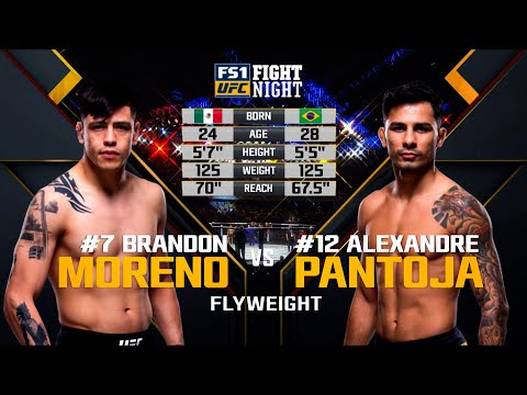 Alexandre Pantoja vs Brandon Moreno 1 | FREE FIGHT | UFC 290