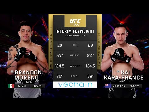 Brandon Moreno x Kai Kara-France | LUTA COMPLETA | UFC 290