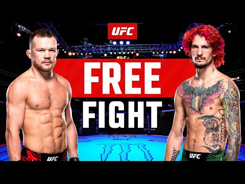 Sean O'Malley vs Petr Yan | FREE FIGHT | UFC 292