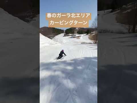 春のガーラ北エリアブロードウェイコースでカービングターン⛷️✨センターポジションを外さなければスピードは落ちにくい✨ #snow #sports #ski #スキー #栗山未来 #carving