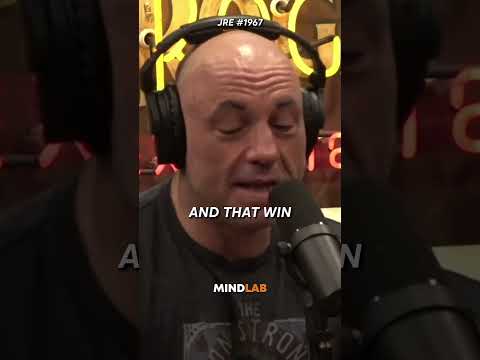 Joe Rogan On The Tyson Fury Vs Wilder Fight😳