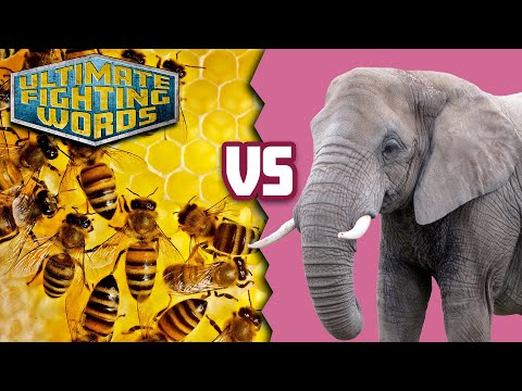 ELEPHANTS VS. BEES: Who is SMARTER?! | ULTIMATE FIGHTING WORDS